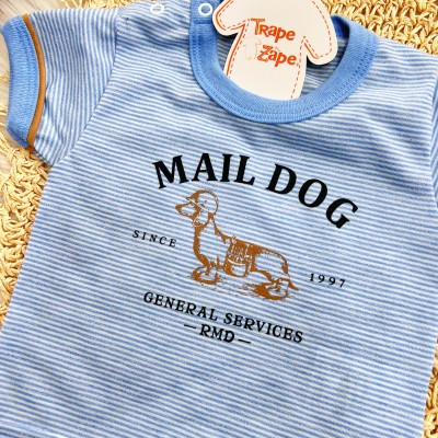 Conj. Camiseta Mail Dog e Bermuda - Azul Bebê